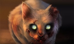 Котя